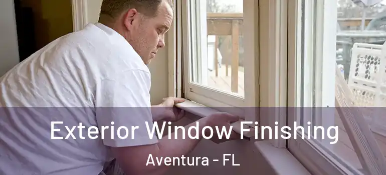  Exterior Window Finishing Aventura - FL
