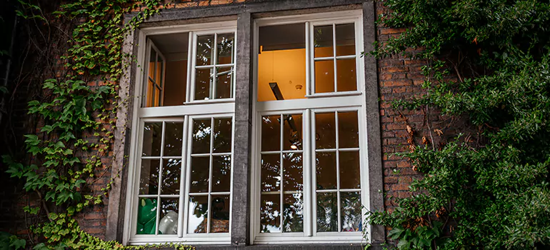 Energy Efficient Wood Windows in Aventura, FL