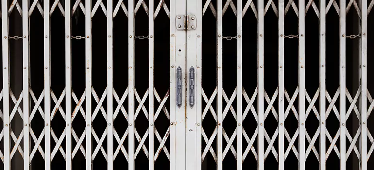 Steel Line Garage Door Repairs in Aventura, FL