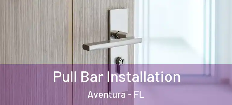  Pull Bar Installation Aventura - FL