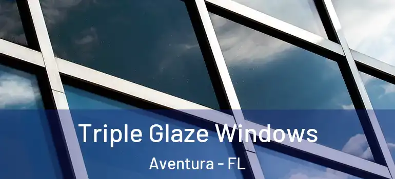  Triple Glaze Windows Aventura - FL
